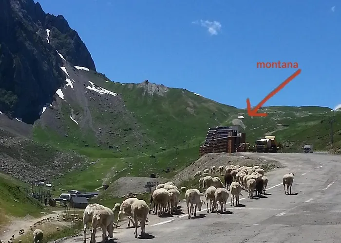 Bozeman * ラ・モンジー